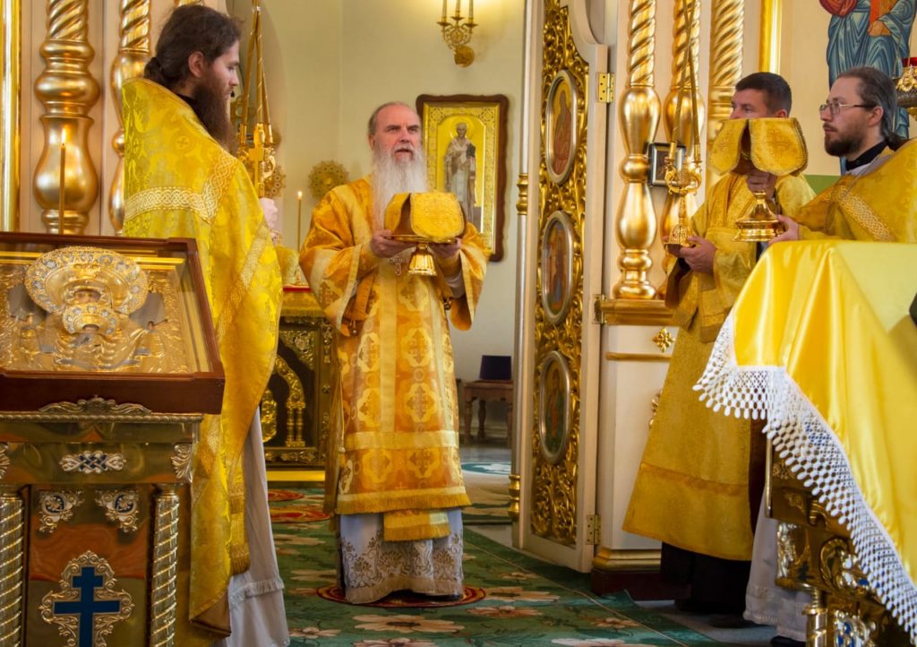 iaTKvEE5lI0 1024x722