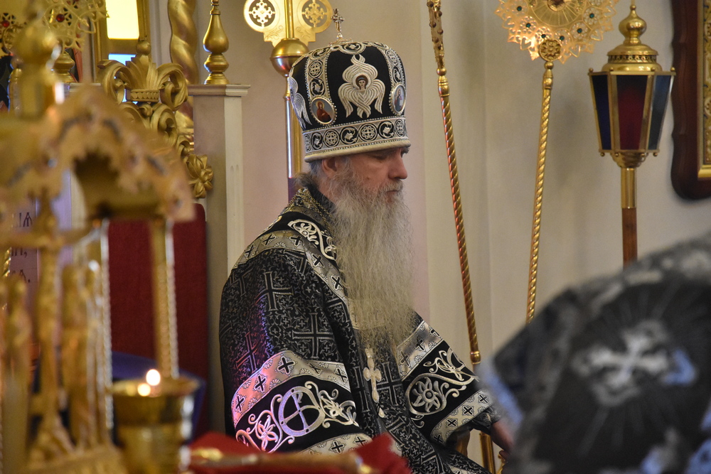 Литургия Преждеосвященных Даров 14 апреля 2020 4