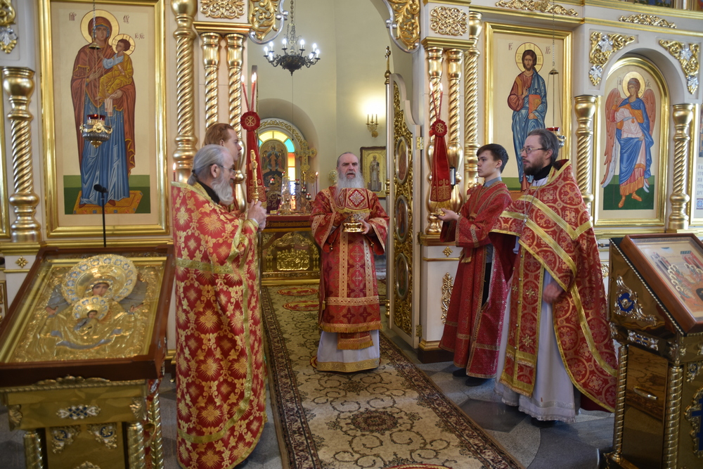 Литургия 25 апреля 2020 7